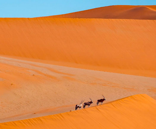 Namib Desert